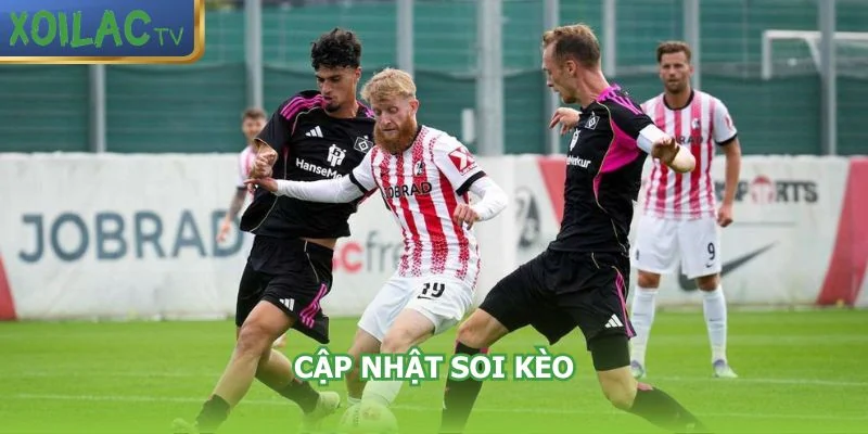 cap-nhat-soi-keo-hamburger-sv-vs-freiburg