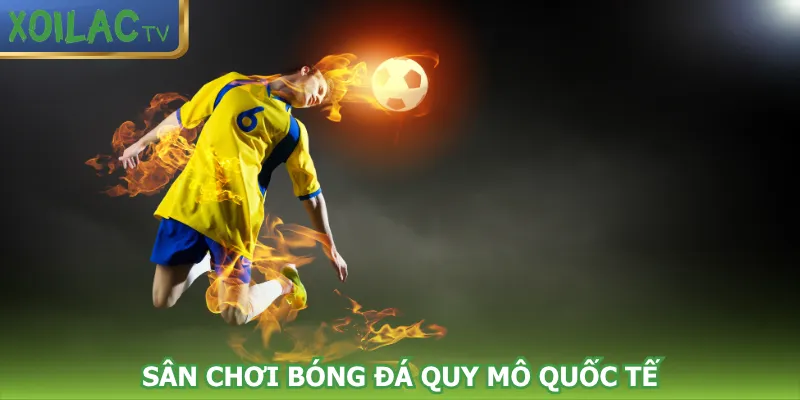 san-choi-bong-da-quy-mo-quoc-te