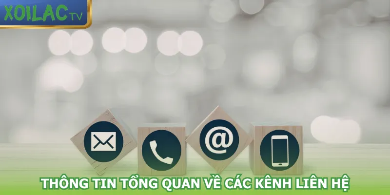 thong-tin-tong-quan-ve-cac-kenh-lien-he