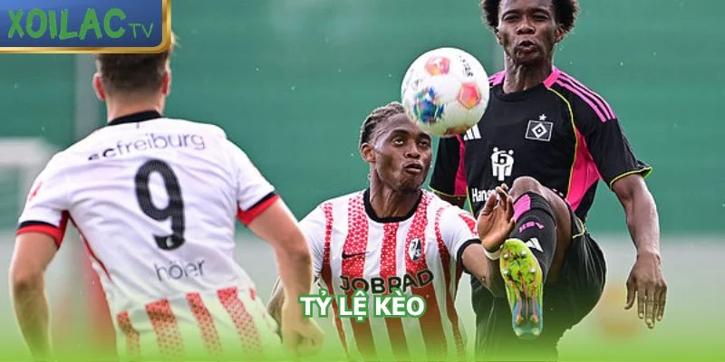 ty-le-keo-hamburger-sv-vs-freiburg