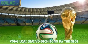vong-loai-giai-vo-dich-bong-da-the-gioi
